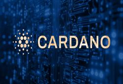 giá bitcoin: Cardano Foundation làm rõ vai trò và ưu tiên trong bối cảnh tranh chấp quản trị hệ sinh thái đang diễn ra