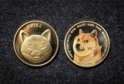 giá bitcoin: Giá Shiba Inu giảm xuống dưới 0,00002631 khi người bán chiếm ưu thế trên thị trường. Đã đến lúc mua chưa?