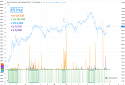 giá bitcoin: Ai đã hưởng lợi trong biến động 100.000 đô la của Bitcoin? nhà phân tích phân tích dữ liệu