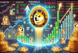 giá bitcoin: Cá voi Dogecoin đã mua hơn 90 triệu DOGE trong 48 giờ – chi tiết