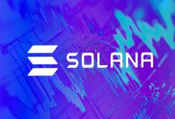 giá bitcoin: Solana tỏa sáng giữa khối lượng giao dịch DEX phá kỷ lục trong tháng 12