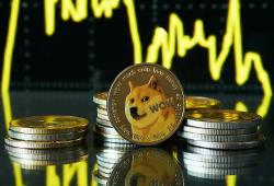 giá bitcoin: Dogecoin đang trong tầm ngắm phục hồi: hỗ trợ mạnh mẽ gợi ý về sự tăng giá năm 2025