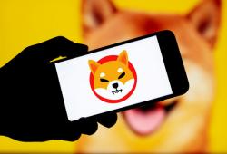 giá bitcoin: Shiba Inu vật lộn với lực giảm giá mạnh: liệu mức hỗ trợ có được nắm giữ không?