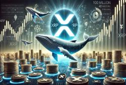 giá bitcoin: Cá voi XRP tiếp tục chất đầy túi của họ – Tích lũy 100 triệu XRP trong 48 giờ