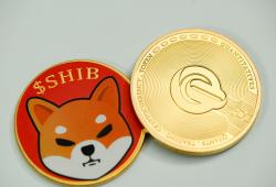 giá bitcoin: Tỷ lệ đốt tiền của Shiba Inu tăng vọt 600% chỉ trong 24 giờ, liệu giá SHIB có theo kịp không?