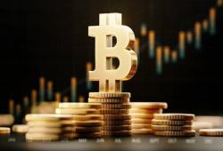 giá bitcoin: Giá Bitcoin hình thành đáy đôi sau khi giảm, liệu có thể phục hồi lên mức ATH 112.000 đô la không?