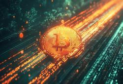 giá bitcoin: Ảo tưởng về xu hướng giảm của Bitcoin xuất hiện khi sự sụp đổ của giao dịch do giao thức điều khiển làm méo mó các tín hiệu định giá trong giao dịch