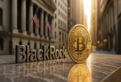 giá bitcoin: BlackRock IBIT dẫn đầu tất cả các dòng vốn ETF của Hoa Kỳ sau khi giá Bitcoin đạt mức cao kỷ lục mới