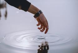 giá bitcoin: Không nên giữ lại—chuyên gia khuyên nên Stake toàn bộ XRP