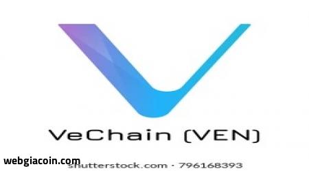Kỷ nguyên mới của VeChain: Nền tảng thị trường ra mắt, giá tăng nhanh sắp xuất hiện?