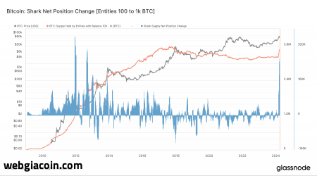Tích lũy bitcoin đạt mức cao nhất thập kỷ trong nhóm thuần tập 