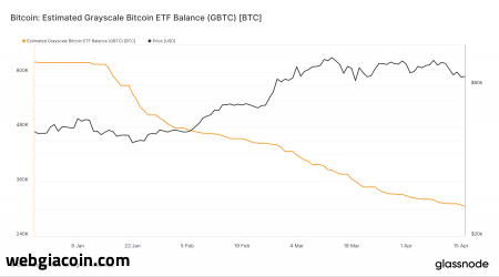 Thang độ xám chứng kiến sự kiện Halving kép khi số lượng giữ Bitcoin giảm xuống còn 310k