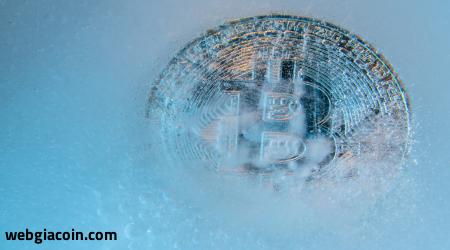 Bitcoin lên tới 455.000 USD: chuyên gia lặp lại mô hình Halving trước đó