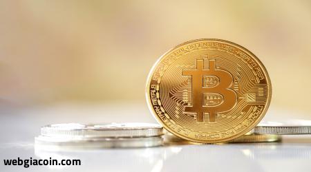 Bitcoin Halving có thể gây ra biến động giá 100.000 USD: CEO Bitwise