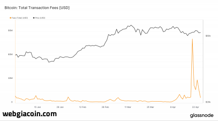 Sự biến động về phí Bitcoin chỉ tồn tại trong thời gian ngắn khi giao dịch Runes giảm