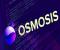Người đồng sáng lập Osmosis tiết lộ Bảo mật xuyên qua lưới trong bộ giáp chainmail tại Cosmoverse