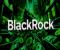 Ondo Finance bổ sung 95 triệu USD vào BlackRock BUIDL, nâng tổng AUM lên 240 triệu USD