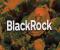 BlackRock bổ sung 4,1 triệu đô la Bitcoin ETF giao ngay IBIT của mình vào hai quỹ