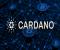 Cardano Charles Hoskinson ủng hộ hệ sinh thái Bitcoin hỗ trợ DeFi