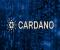 Cardano Foundation làm rõ vai trò và ưu tiên trong bối cảnh tranh chấp quản trị hệ sinh thái đang diễn ra