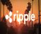 Ripple quyên góp 100.000 đô la bằng XRP cứu trợ cháy rừng ở California trong bối cảnh cuộc chiến SEC đang diễn ra