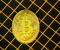 Chỉ báo chu kỳ thị trường Bitcoin gợi ý về sự đột phá tăng giá sắp tới, nhà phân tích cho biết