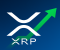 Mối liên hệ đáng ngạc nhiên giữa XRP và dầu thô được tiết lộ bởi nhà phân tích
