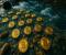 Bitcoin ETF ghi nhận dòng tiền đổ vào mạnh nhất kể từ ngày 2 tháng 5 khi nhu cầu của nhà đầu tư tăng trở lại