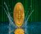 Bitcoin tăng lên 108.000 đô la khi 248 triệu đô la thanh lý đẩy các nhà đầu tư ra khỏi thị trường