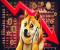 Dogecoin (DOGE) nắm giữ mức lỗ — cơn sốt Meme Coin có thể quay trở lại không?