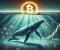 Cá voi đang âm thầm định vị lại, đây là điều mà giá bitcoin 107.000 đô la không nói với bạn