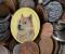Mô hình Megaphone của Dogecoin xác nhận sự bùng nổ giá, 