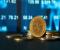 Chuyên gia tiết lộ hai điều sẽ đẩy giá XRP lên mức cao nhất mọi thời đại