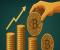 Ví tích lũy bổ sung 30 tỷ đô la Bitcoin: Liệu những người chơi dài hạn có chuẩn bị sớm không?