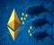 Cá voi Ethereum tích lũy hơn 4,1 tỷ đô la ETH trong hai tuần – chi tiết