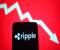 CEO Ripple cảnh báo: Nếu bạn là nhà đầu tư XRP, bạn nên xem điều này