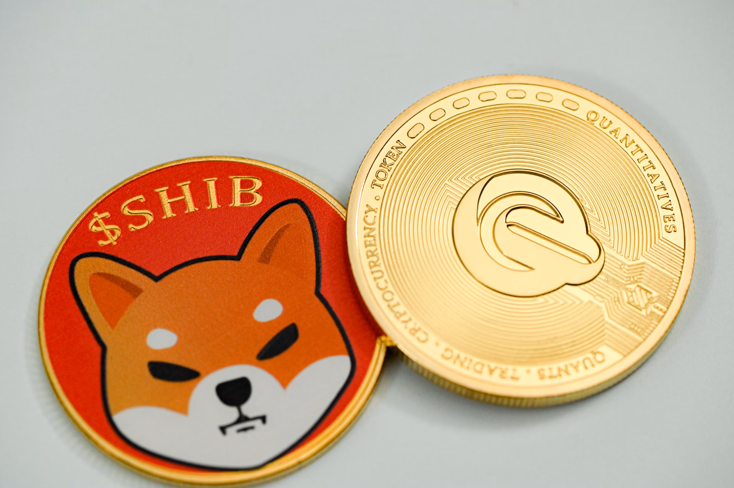 Thành viên nhóm Shiba Inu tiết lộ 