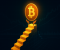 Những người mua Bitcoin hàng đầu không bán: Nguồn cung trên 118.000 đô la vẫn vững chắc
