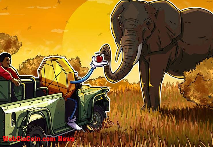 Thị trường tiền điện tử ở Châu Phi đã tăng hơn 1.200% kể từ năm 2020: Chainalysis