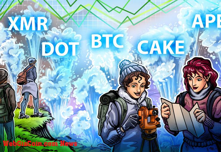 5 loại tiền điện tử hàng đầu nên xem trong tuần này: BTC, DOT, XMR, APE, CAKE