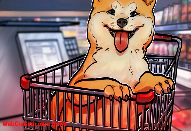 Giá Dogecoin có nguy cơ điều chỉnh 40% bất chấp sự hưng phấn của Elon musk-twitter