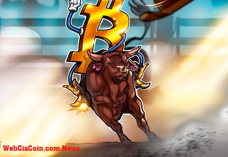 Giá bitcoin giữ 23,5 nghìn đô la, khiến người mua nói 