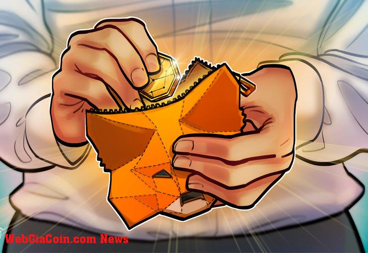 MetaMask áp dụng các tính năng giám sát cho các nhà đầu tư tổ chức ham muốn