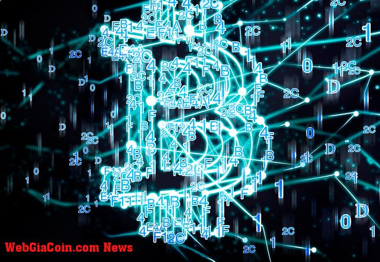 Địa chỉ tích lũy bitcoin gần kỷ lục 800 nghìn bất chấp việc cá voi bán