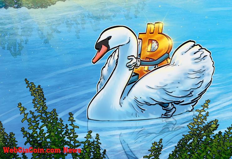 Swan Bitcoin là gì và nó hoạt động như thế nào?