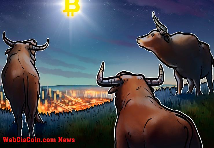 Chỉ số giá BTC cho thấy đợt tăng giá Bitcoin lớn nhất đạt mức 23 nghìn đô la