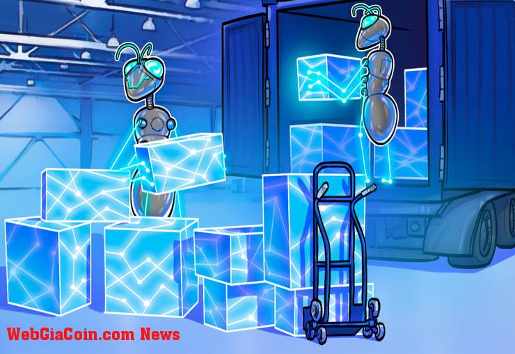 Polygon và Mercy Corps mang blockchain đến với các cộng đồng chưa được phục vụ