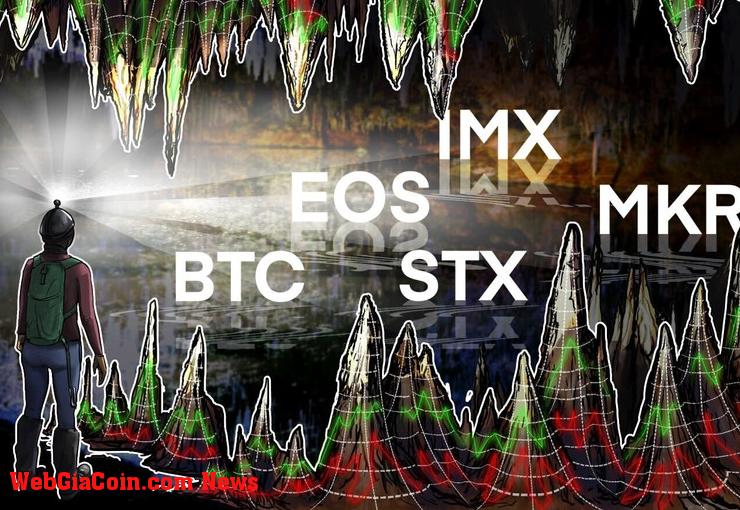 EOS, STX, IMX và MKR có dấu hiệu tăng giá khi Bitcoin tìm kiếm hướng đi