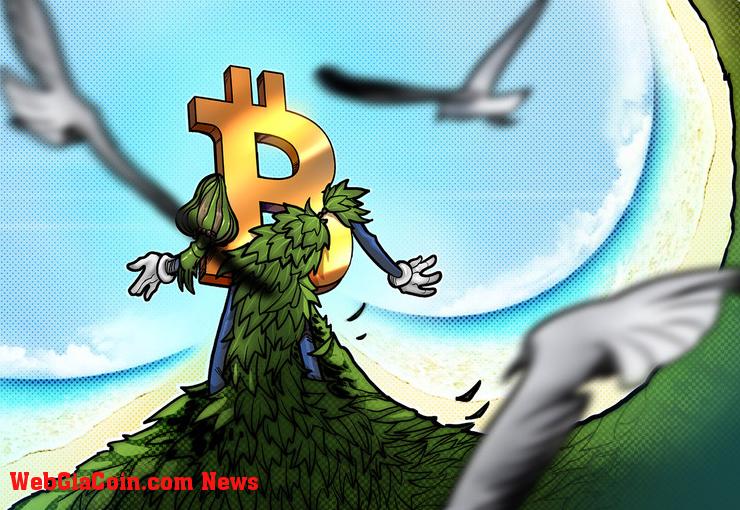 Cuộc chiến của Greenpeace về Bitcoin vô tình sinh ra linh vật mới 