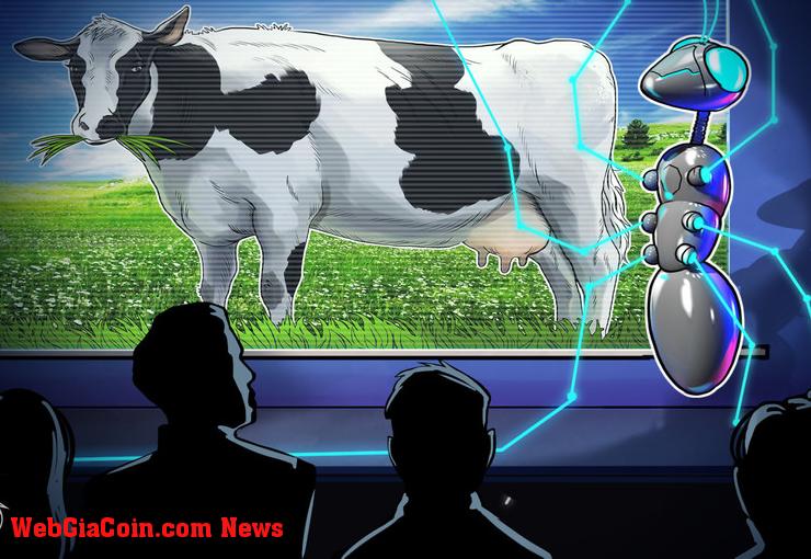 Cách nông dân Ireland biến phân bò thành vàng kỹ thuật số (Bitcoin)